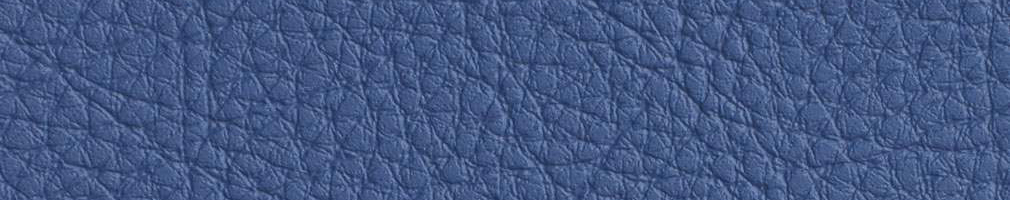 blue vinyl